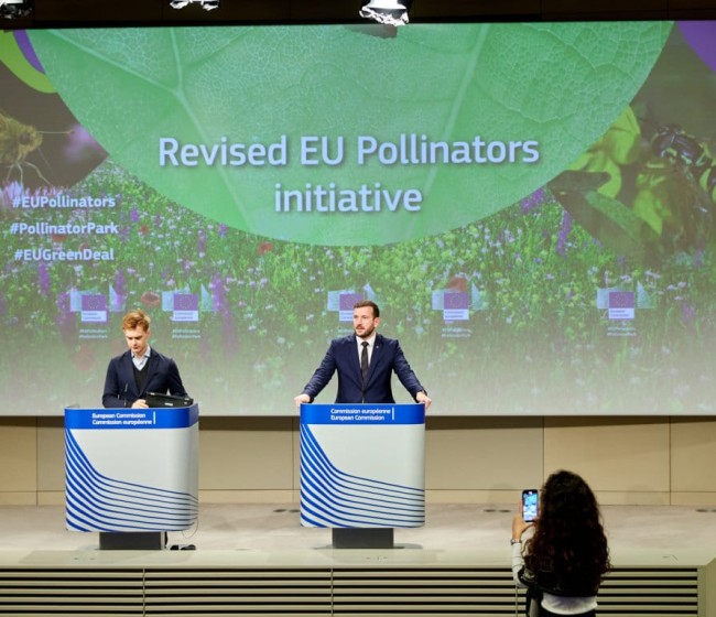 La CE acuerda impulsar nuevas medidas para revertir el “alarmante declive” de los insectos polinizadores