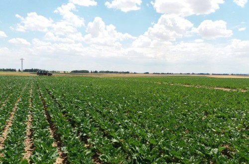 Las organizaciones agrarias de Castilla y León abandonan la gestión de AIMCRA