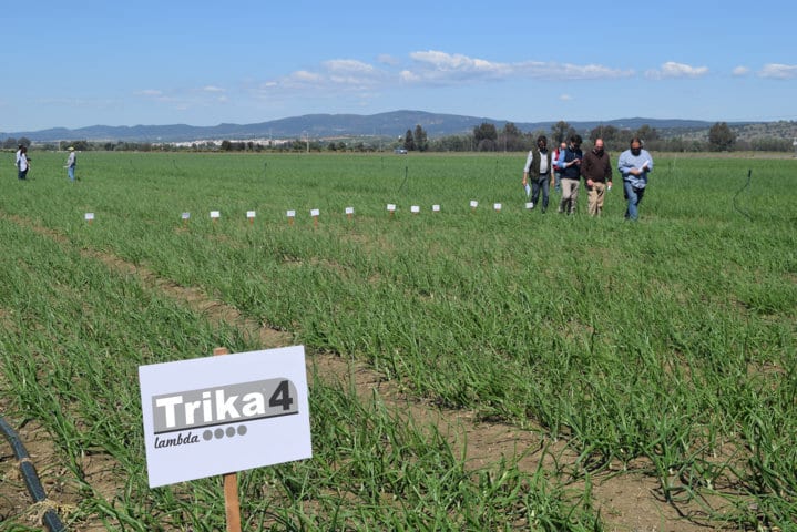 Sipcam amplía su gama de insecticidas Trika con dos nuevos productos