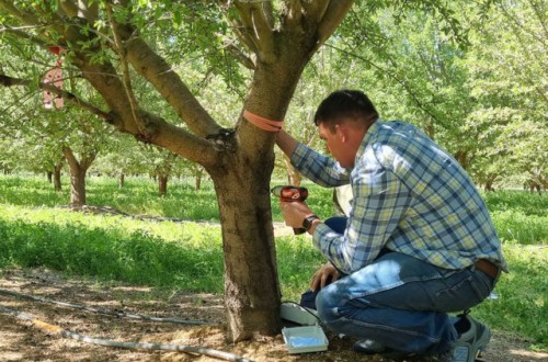 Treetoscope amplía el acceso a su plataforma de gestión del riego