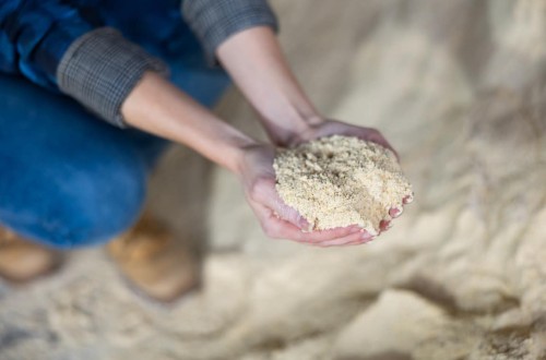 Galicia lidera la producción de piensos para el ganado vacuno con 1,4 Mt/año