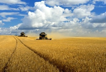 Asaja Valle del Ebro alerta de la grave crisis del campo por bajos precios, PAC y enfermedades