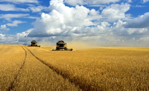 Asaja Valle del Ebro alerta de la grave crisis del campo por bajos precios, PAC y enfermedades