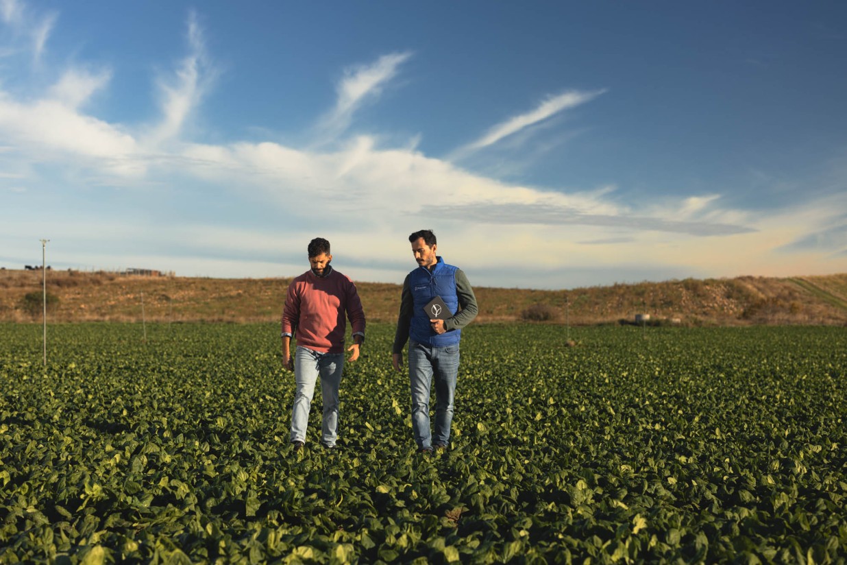 Timac Agro lanza Seactiv, un nuevo bioestimulante foliar contra el estrés abiótico