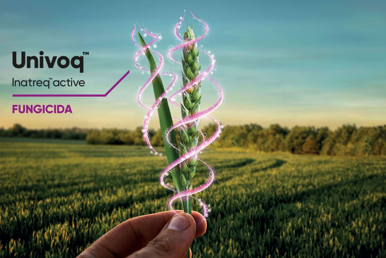 Univoq, el nuevo fungicida para cereal de Corteva Agriscience con una composición y formulación únicas