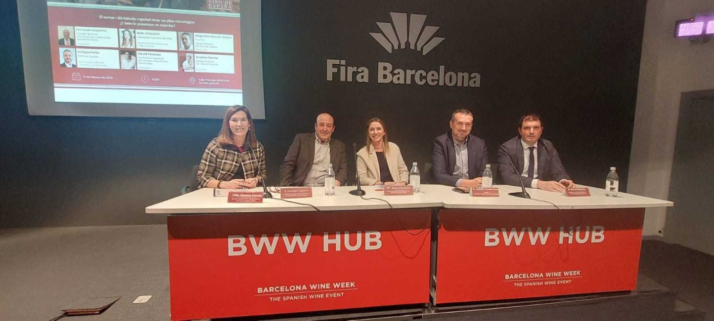 BWW: Gran acogida del Plan Estratégico del Sector Vitivinícola de la OIVE