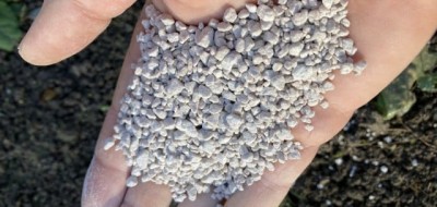 ICL PotashpluS, tecnología natural perfecta para los cultivos exigentes en potasio que demanden altas cantidades de azufre