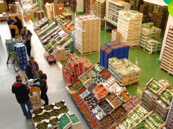 La exportación de frutas y hortalizas frescas en 2023 retrocedió un 6%