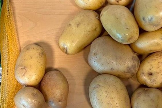 Las OPAs denuncian fraude en la venta de patatas de conservación de origen Francia como nuevas de España
