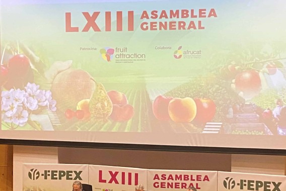 FEPEX analiza en su Asamblea el amplio paquete legislativo que afectará en 2023 al sector hortofrutícola