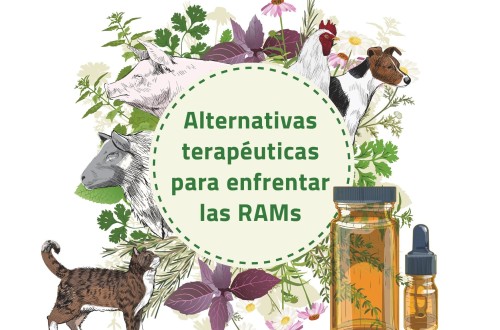 Boalvet y el Colegio de Veterinarios de Málaga colaboran para ofrecer formación conjunta