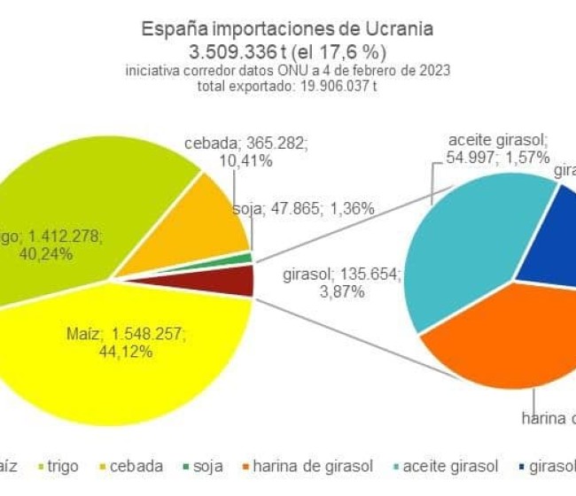 España ha importado ya más de 3,5 Mt de cereales y oleaginosas de Ucrania por el corredor marítimo del Mar Negro