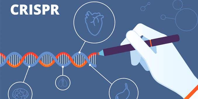 El agro comunitario valora la sentencia del TJUE que diferencia las técnicas de mutagénesis de los OMG