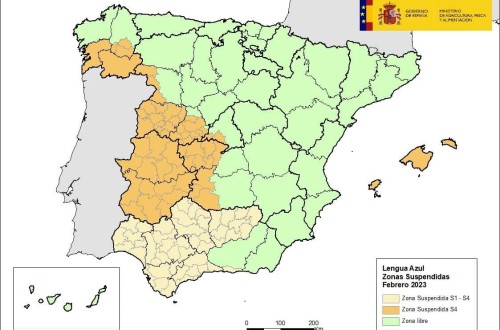 El virus de la Lengua Azul hace acto de presencia en cuatro explotaciones de bovino gallegas