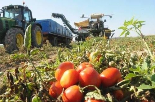 Subida del paro y descenso de la afiliación en la actividad agraria en enero