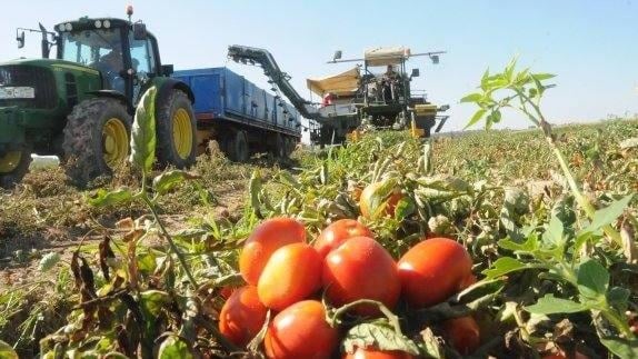 Subida del paro y descenso de la afiliación en la actividad agraria en enero