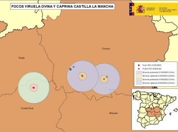 Nuevo foco de Viruela Ovina y Caprina en Alcázar de San Juan,  Ciudad Real