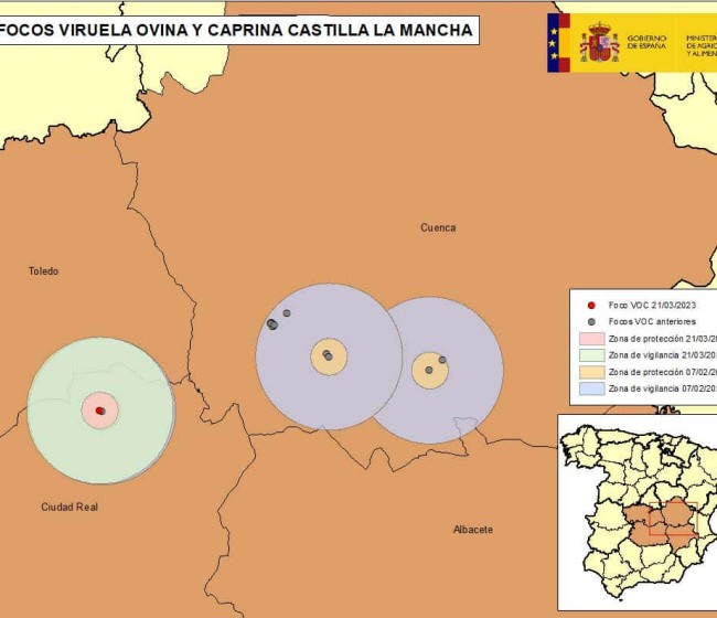 Nuevo foco de Viruela Ovina y Caprina en Alcázar de San Juan,  Ciudad Real