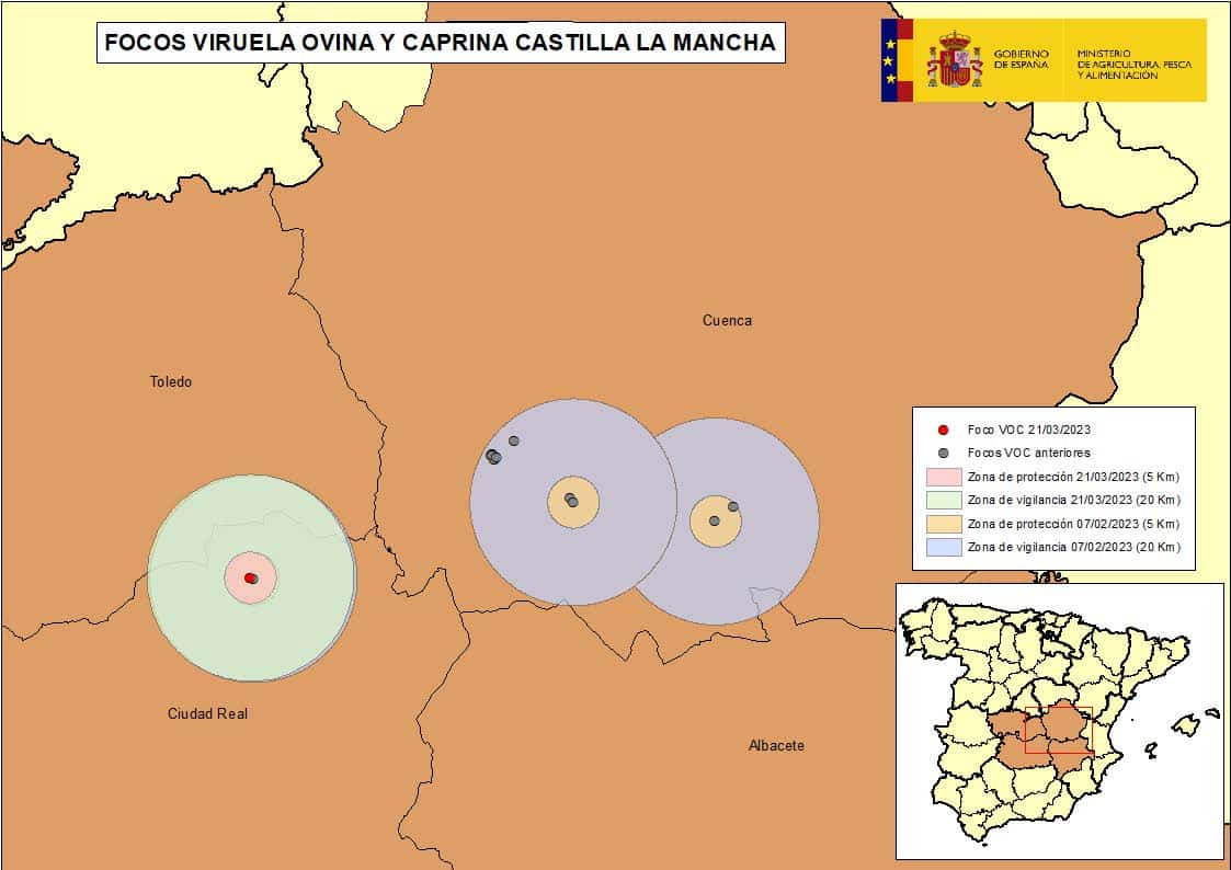 Nuevo foco de Viruela Ovina y Caprina en Alcázar de San Juan,  Ciudad Real