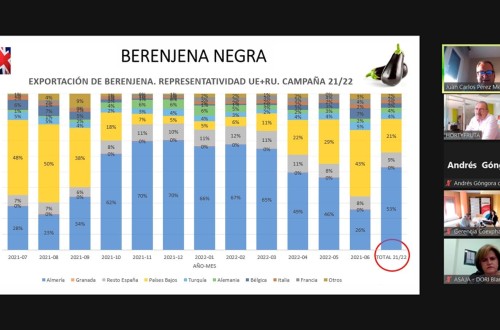 Situación de alerta en la producción de berenjena, según la interprofesional Hortyfruta