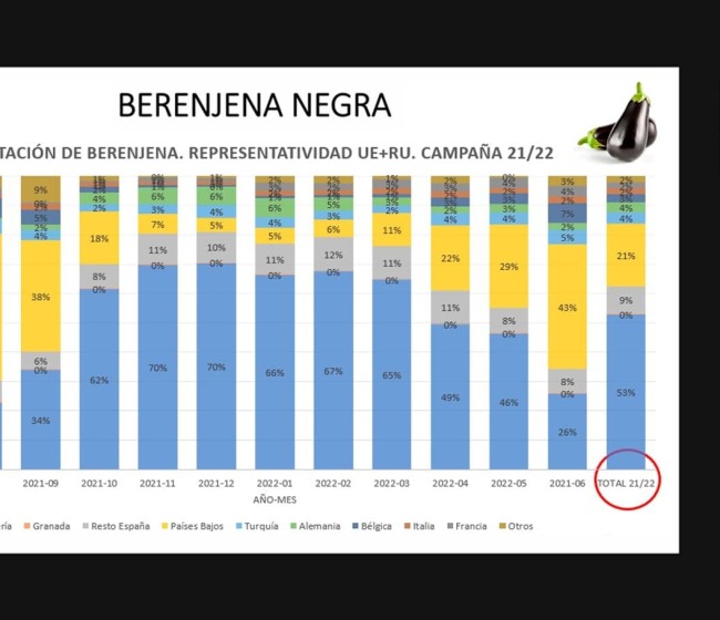 Situación de alerta en la producción de berenjena, según la interprofesional Hortyfruta