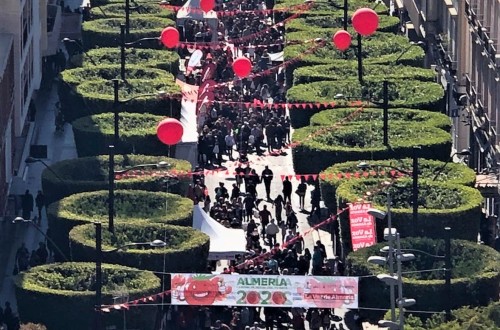 Mañana se celebra la 9º edición de «Almería Capital Mundial del Tomate»