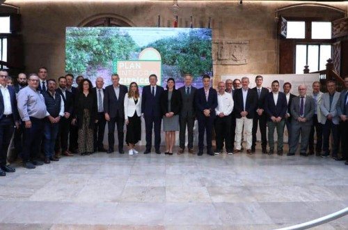 Estrategia «Naranja 2030»: un plan integral de 40 M€ para impulsar al sector citrícola valenciano
