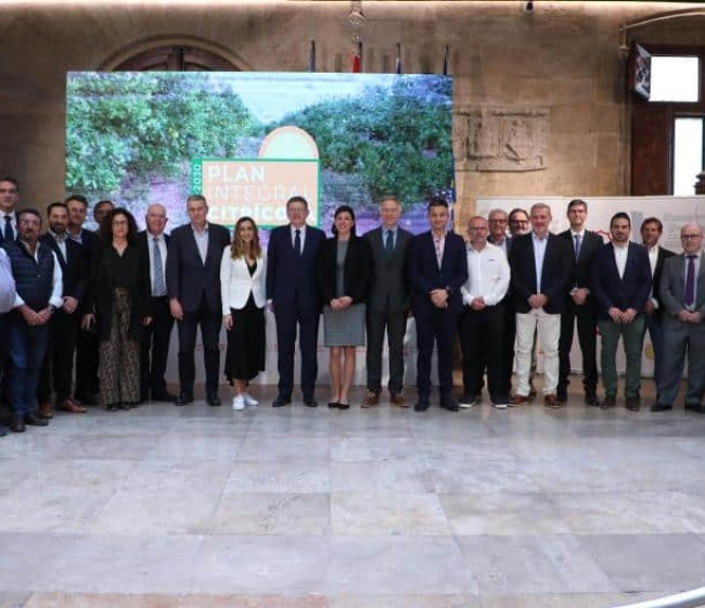 Estrategia «Naranja 2030»: un plan integral de 40 M€ para impulsar al sector citrícola valenciano