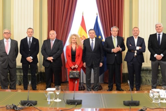 MAPA apoyará la actividad promocional del sector citrícola español a través de Ailimpo e Intercitrus