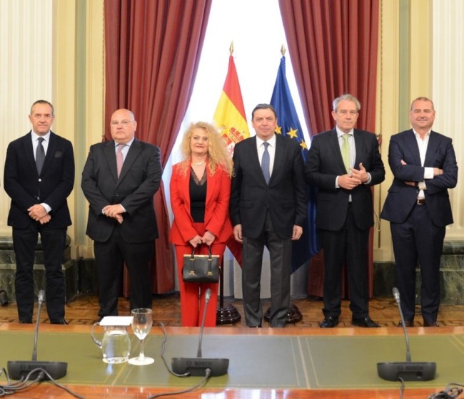 MAPA apoyará la actividad promocional del sector citrícola español a través de Ailimpo e Intercitrus