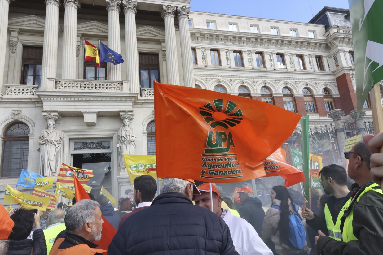 Los apicultores urgen un plan de apoyo y un mejor etiquetado para defender la miel y la apicultura española