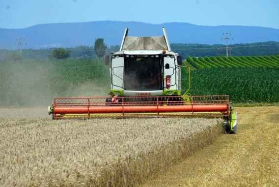 El CIC prevé una ligera recuperación de la producción mundial de cereales en 2023/24