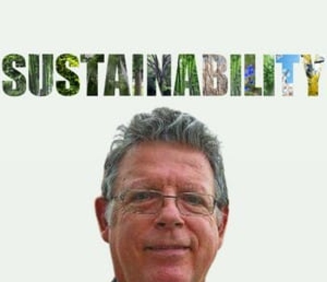 La sostenibilidad se alcanza con un nivel suficiente de éxitos en sus cuatro pilares. Por Tomás García-Azcárate