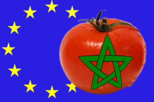 Esto no va de tomates, va de personas. Por Andrés Góngora.