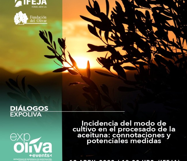Incidencia del modo de cultivo en el procesado de la aceituna, connotaciones y potenciales medidas
