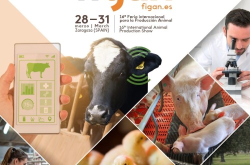 Zaragoza, epicentro por cuatro días de la ganadería internacional con FIGAN