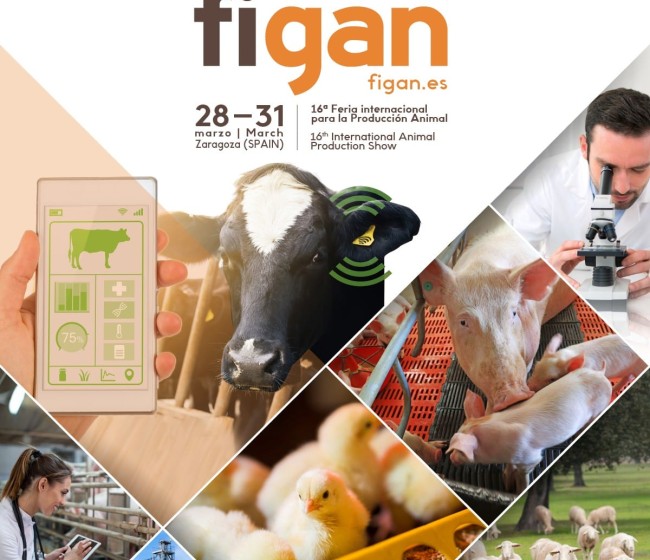 Zaragoza, epicentro por cuatro días de la ganadería internacional con FIGAN