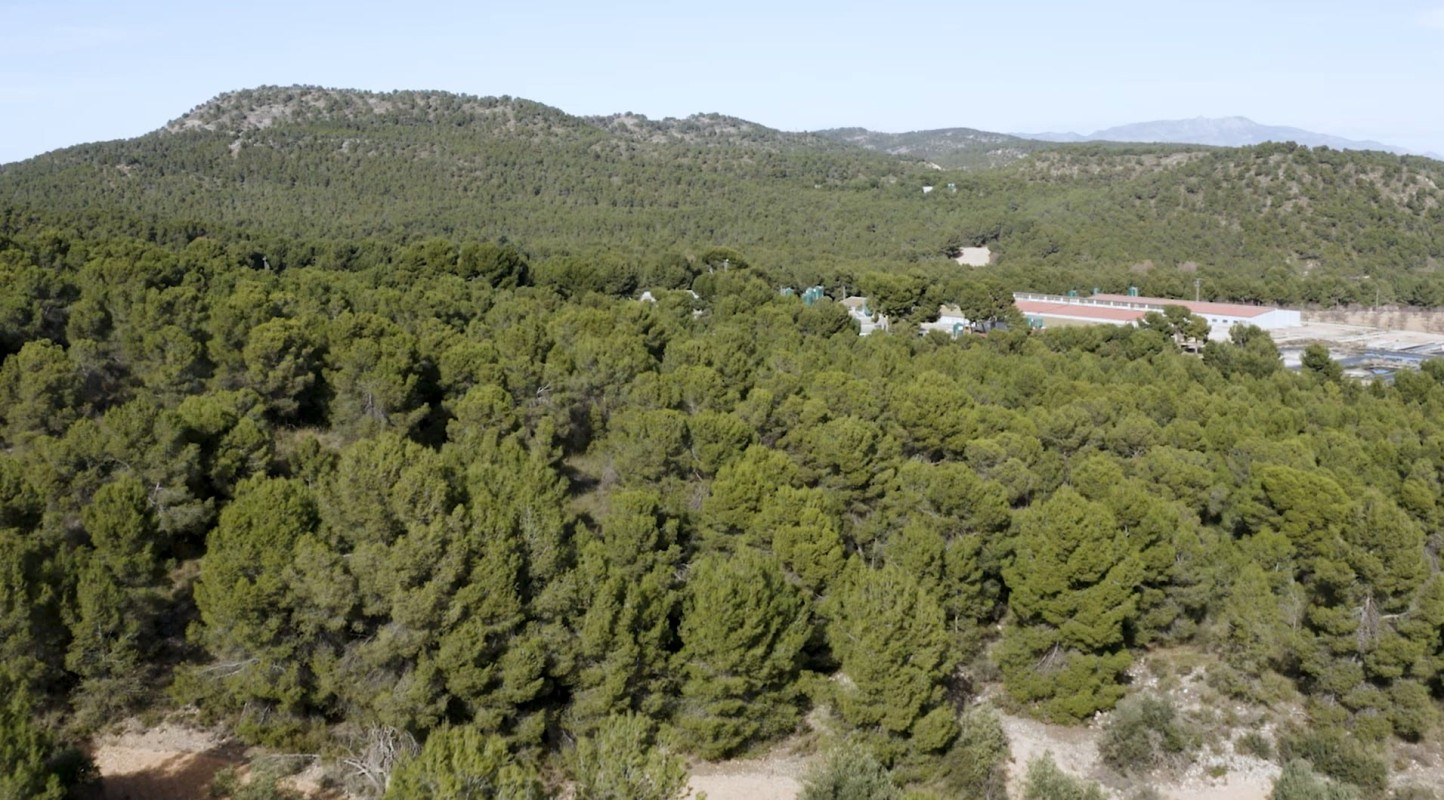 Cefusa impulsa el ahorro de agua en las granjas