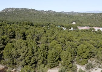 Cefusa impulsa el ahorro de agua en las granjas
