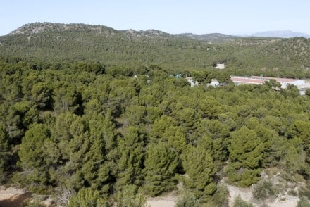 Cefusa impulsa el ahorro de agua en las granjas