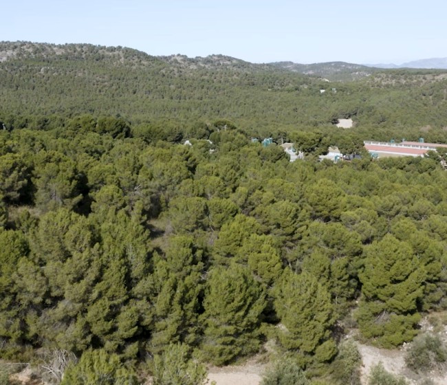 Cefusa impulsa el ahorro de agua en las granjas