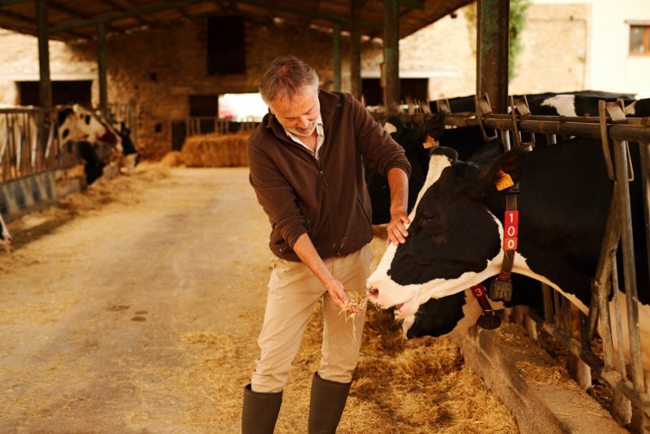 Convenio colectivo de industrias lácteas: FeNIL ofrece una subida salarial del 4,5% y dos pagas de recuperación