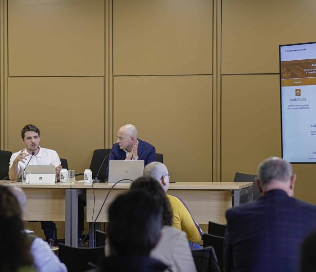 Nace Nealia, la empresa de Vall Companys focalizada en la digitalización