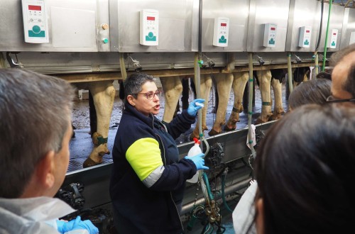 Más de 100 veterinarios son expertos en secado selectivo gracias a los talleres Zoetis – Pascual