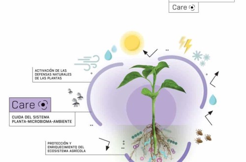 Neoforce Care, la nueva línea de productos biotecnológicos de Fertiberia Tech