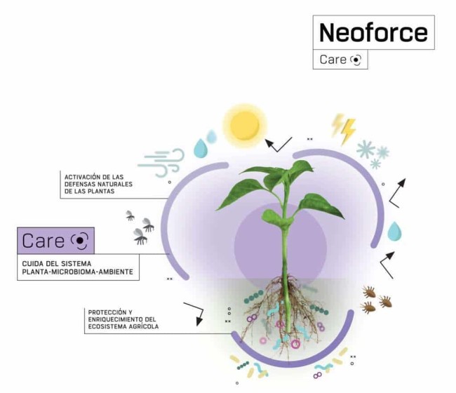 Neoforce Care, la nueva línea de productos biotecnológicos de Fertiberia Tech