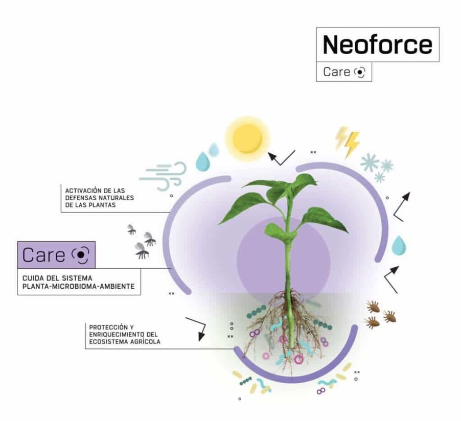 Neoforce Care, la nueva línea de productos biotecnológicos de Fertiberia Tech