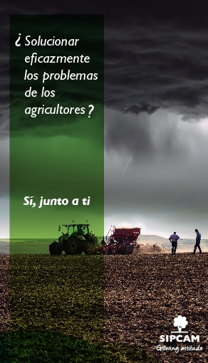 Si, junto a ti L2 292*510 20-26/3