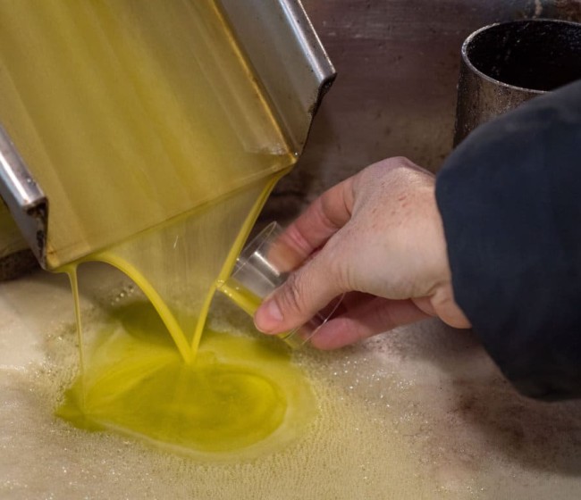 La UE sumó menos de 75.000 t de producción de aceite de oliva en febrero pasado