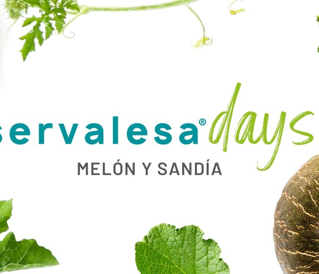Tomelloso acoge el 30 de marzo los Servalesa Days Melón y Sandía
